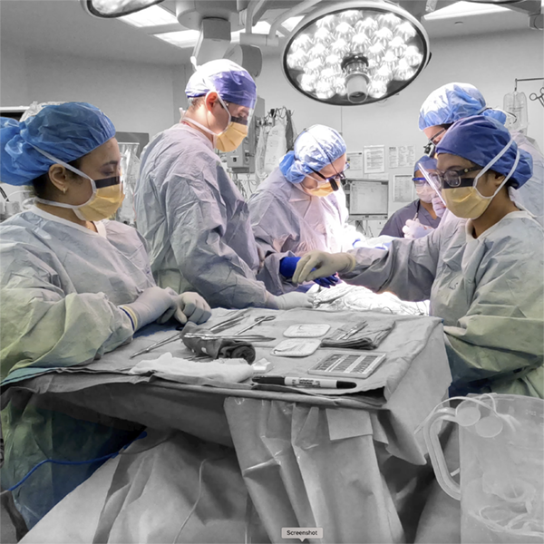 Acute Care Surgical Services.